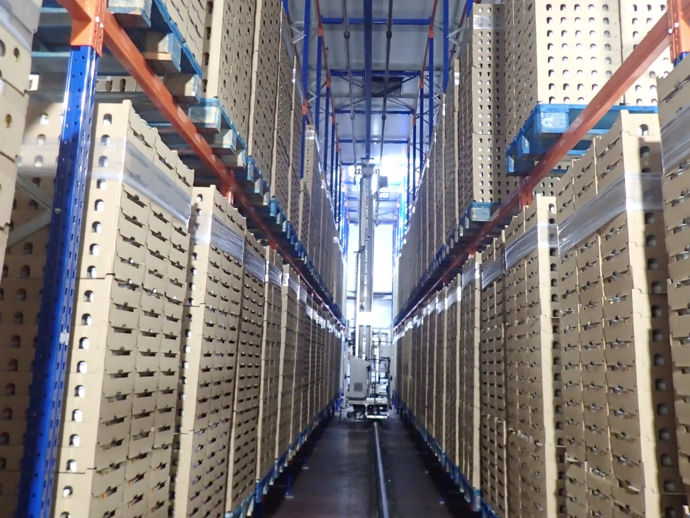 Inspección técnica de estanterías en Danone, cliente de Noega Systems